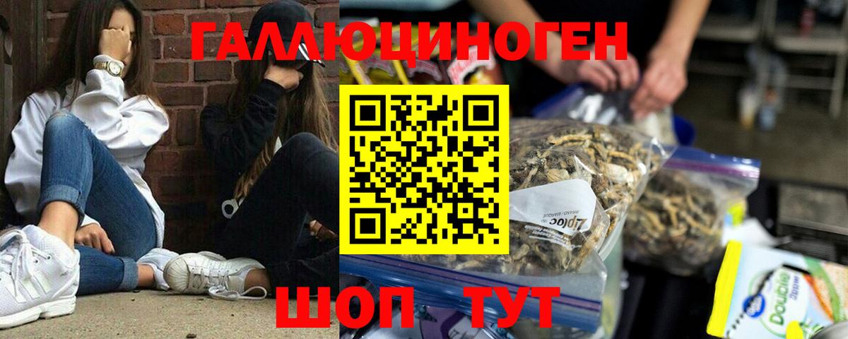 Киров  Галлюциногенные грибы Magic Shrooms  Вход с VPN 